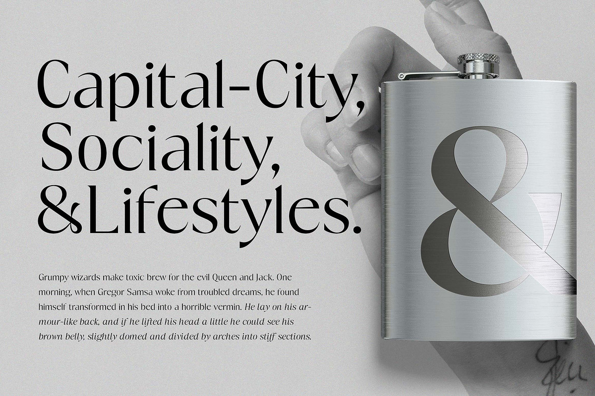 Fregio - Serif Family (10 Fonts), a Serif Font by Dora Typefoundry (Photo 14 of 16)