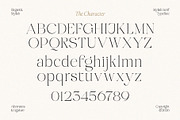 Midnight Obstacle, a Serif Font by Godbless Studio (Thumbnail 12 of 14)