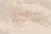 Malliandra Script, a Script Font by Letterhend Studio (Thumbnail 6 of 9)