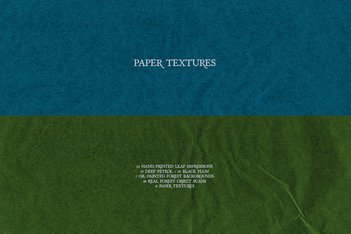 Leaf Imprints, Forest Scans & Paper, an Object Graphic by Purple (Photo 13 of 20)