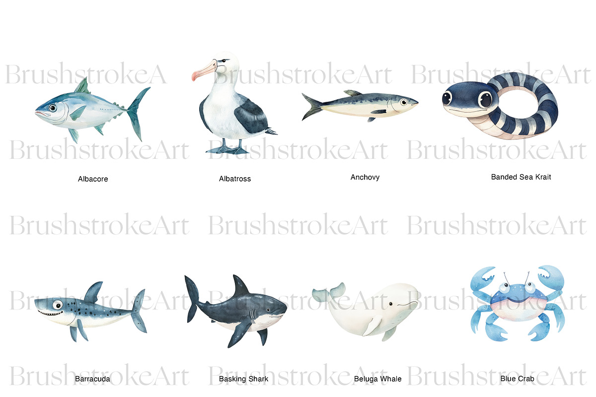 Sea Animals Clipart, Clown Fish PNG, an Animal Illustration by BrushstrokeArtGB (Photo 2 of 9)