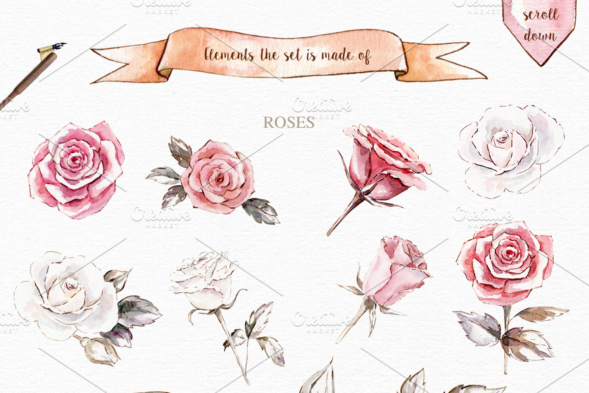 Vintage roses watercolor set, a Background Graphic by Elegantia (Photo 7 of 7)