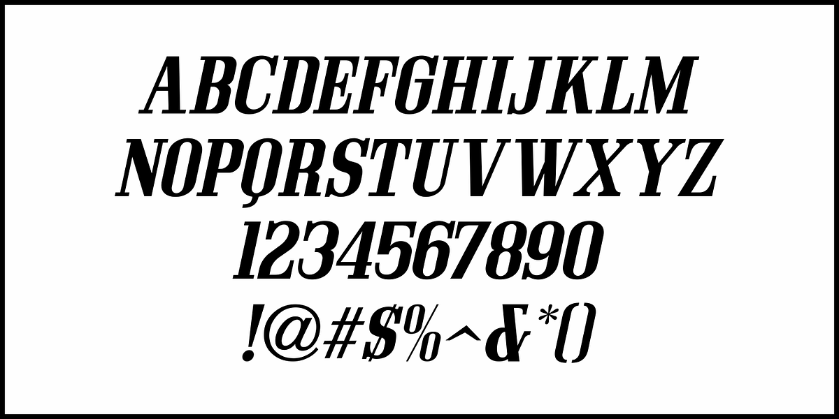 Post Production JNL, a Serif Font by Jeff Levine Fonts (Photo 5 of 5)