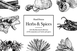 Hand Drawn Herbs & Spices