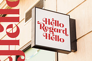 Pramid Mango Modern Display Serif, a Serif Font by timelesstype.co (Thumbnail 11 of 20)