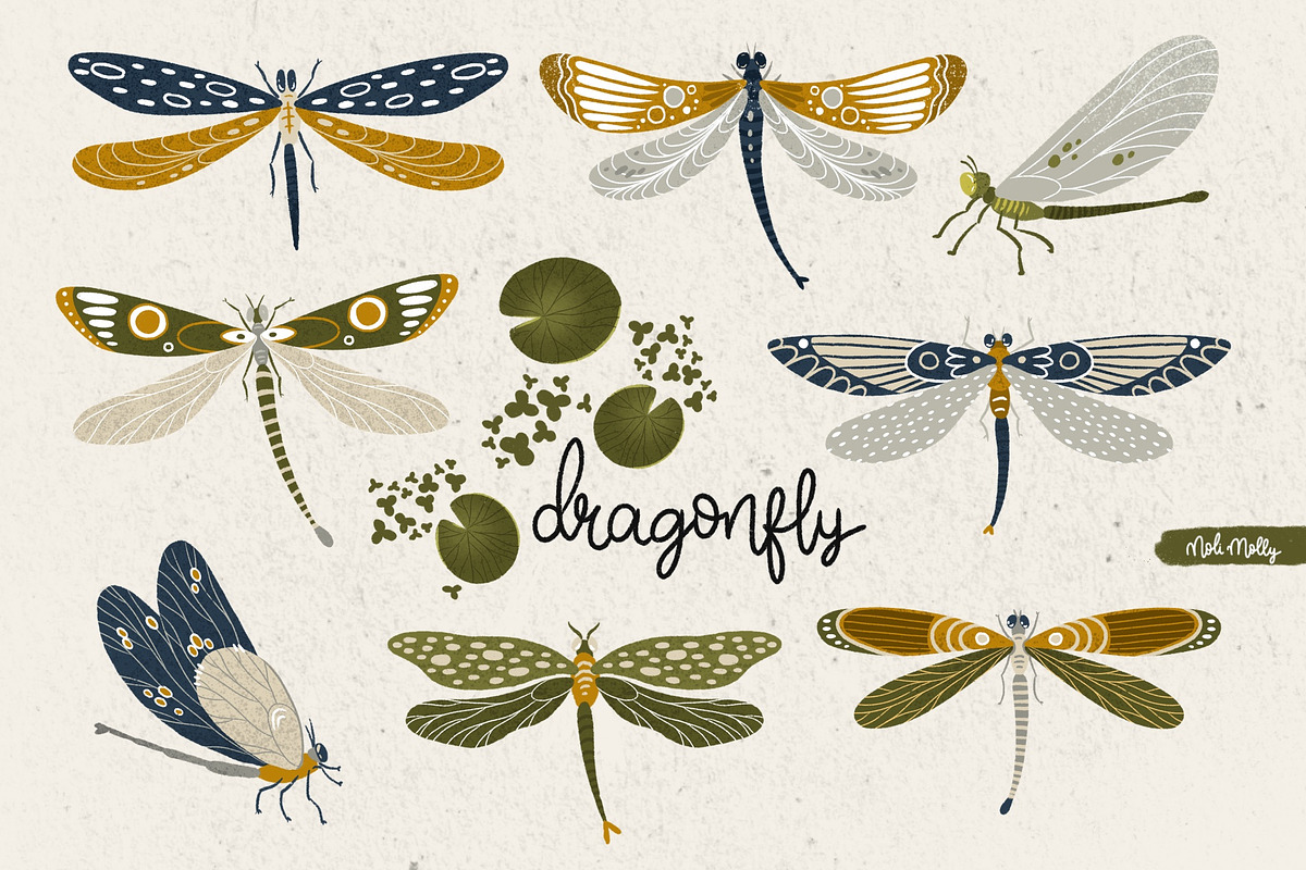 Dragonflies, a Decorative Illustration by Noli Molly Store (Photo 1 of 3)