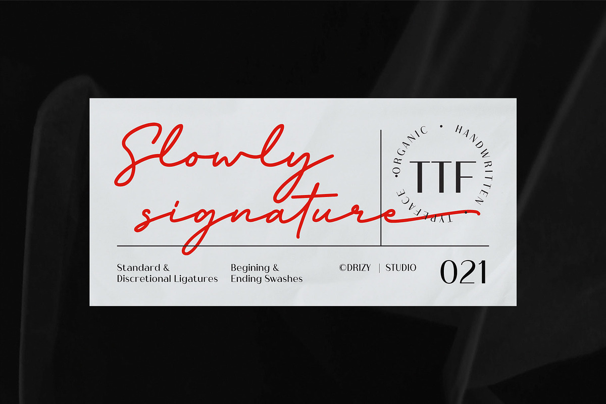 Slowly Signature, a Script Font by Drizy (Photo 3 of 8)
