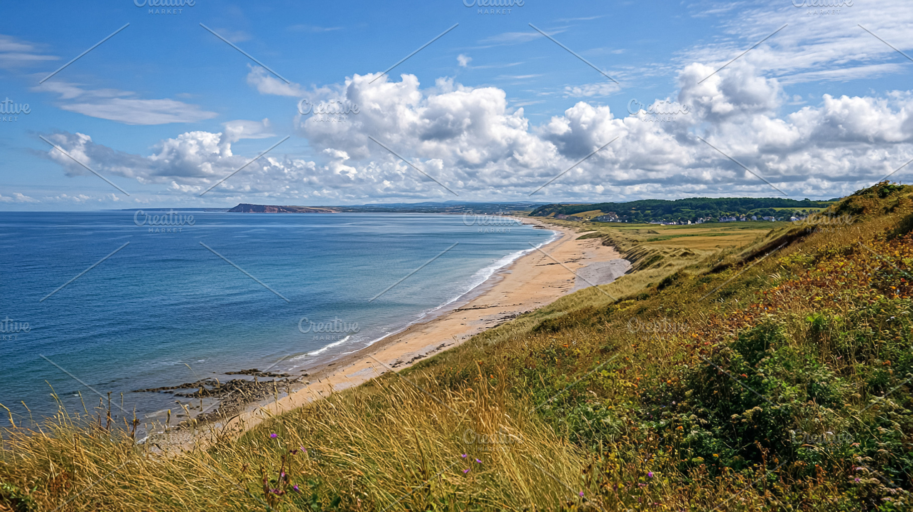 Long sandy beach embracing the ocean, backed by green dunes and, a Photo by Studio ANNA