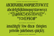 MTC Quinnie - Condensed Serif!, a Serif Font by Martype (Thumbnail 6 of 12)