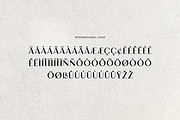 Brightwood Classic Serif Font, a Serif Font by UICreative (Thumbnail 13 of 13)