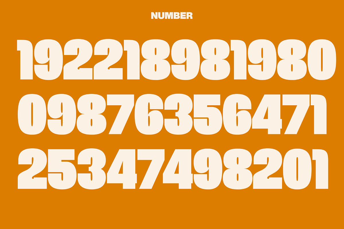 Bleks Display font, a Serif Font by maybefont (Photo 5 of 10)