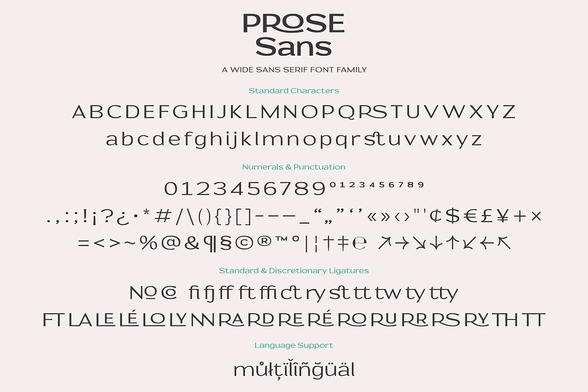 Prose Sans | Sans Serif Font Family, a Sans Serif Font by Ayca Atalay (Photo 11 of 11)