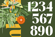 Mango Jungle Modern Bold Serif, a Serif Font by timelesstype.co (Thumbnail 15 of 20)