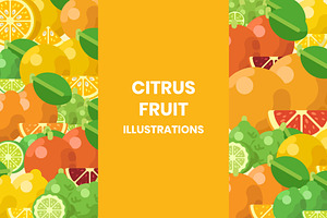 Citrus Fruit Illustrations Set