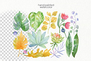Watercolor Flowers Bundle, an Illustration by OllyKo Art (Thumbnail 9 of 15)