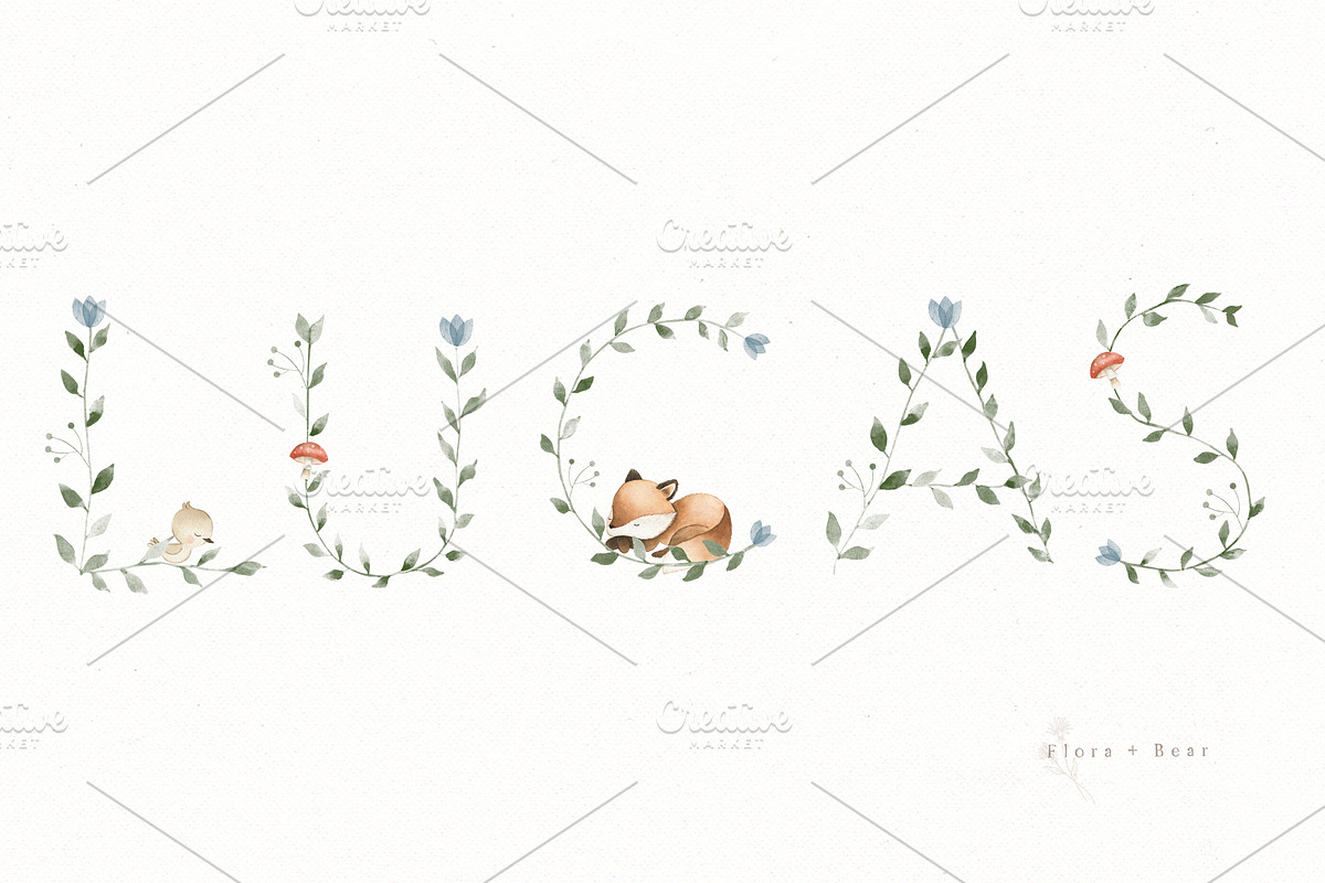 The Woodland Alphabet, an Animal Illustration by Flora+Bear (Photo 15 of 16)