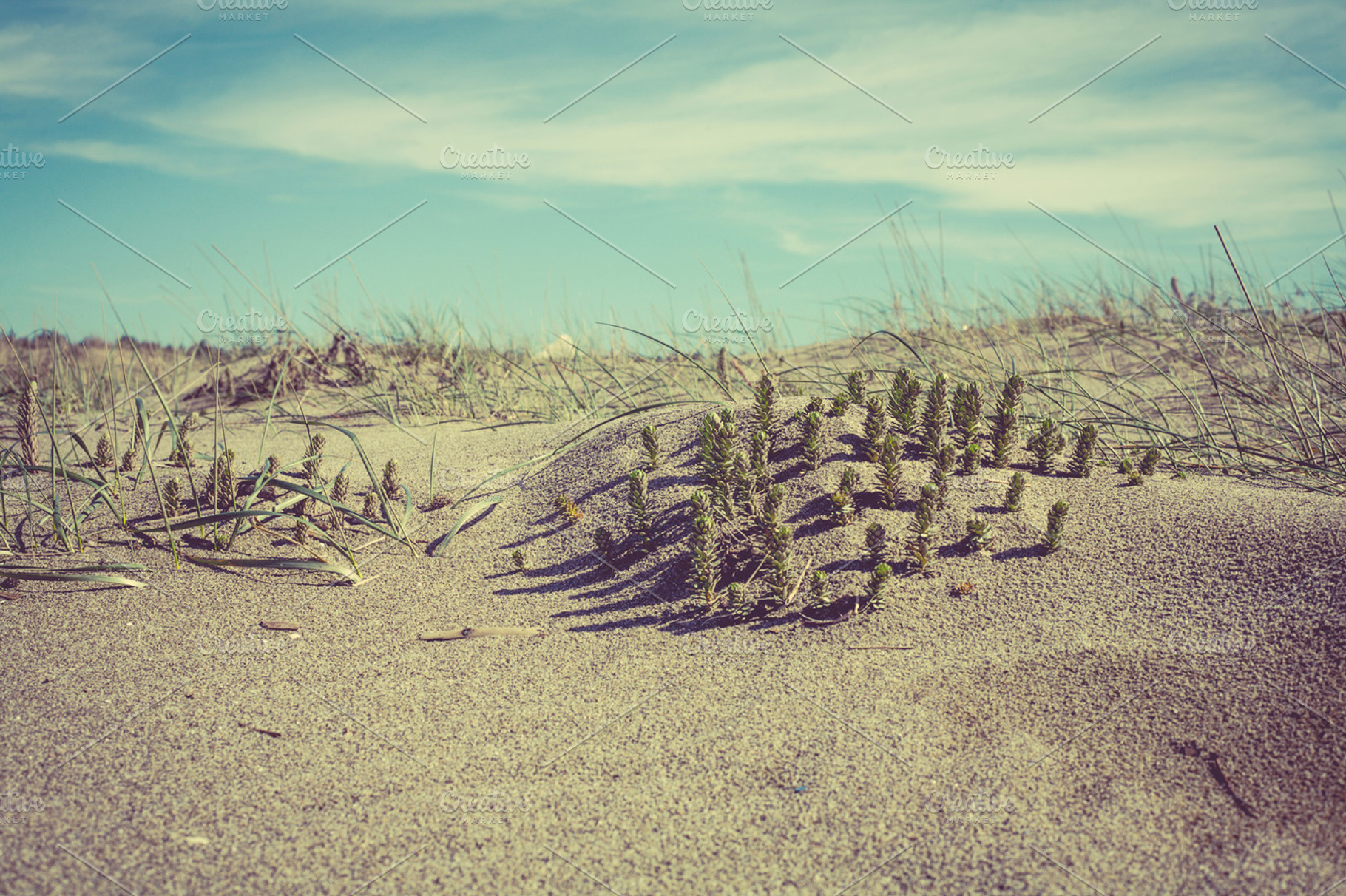 Iseeyouphoto Dreamybeachscape Containing Nature Landscape And Beach