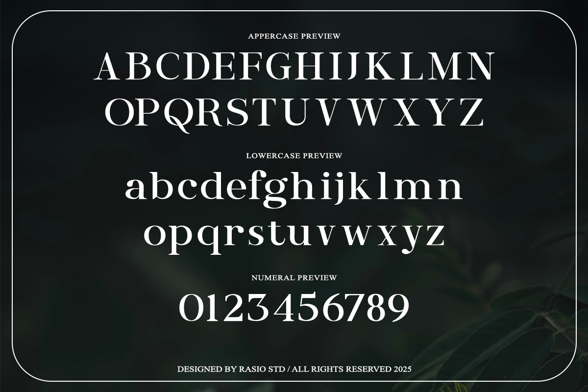 Entielin Decorative Serif Font, a Serif Font by Rasio Studio (Photo 2 of 9)