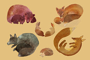 Animals Bundle Watercolor, an Animal Illustration by watercolor kamill (Thumbnail 7 of 13)