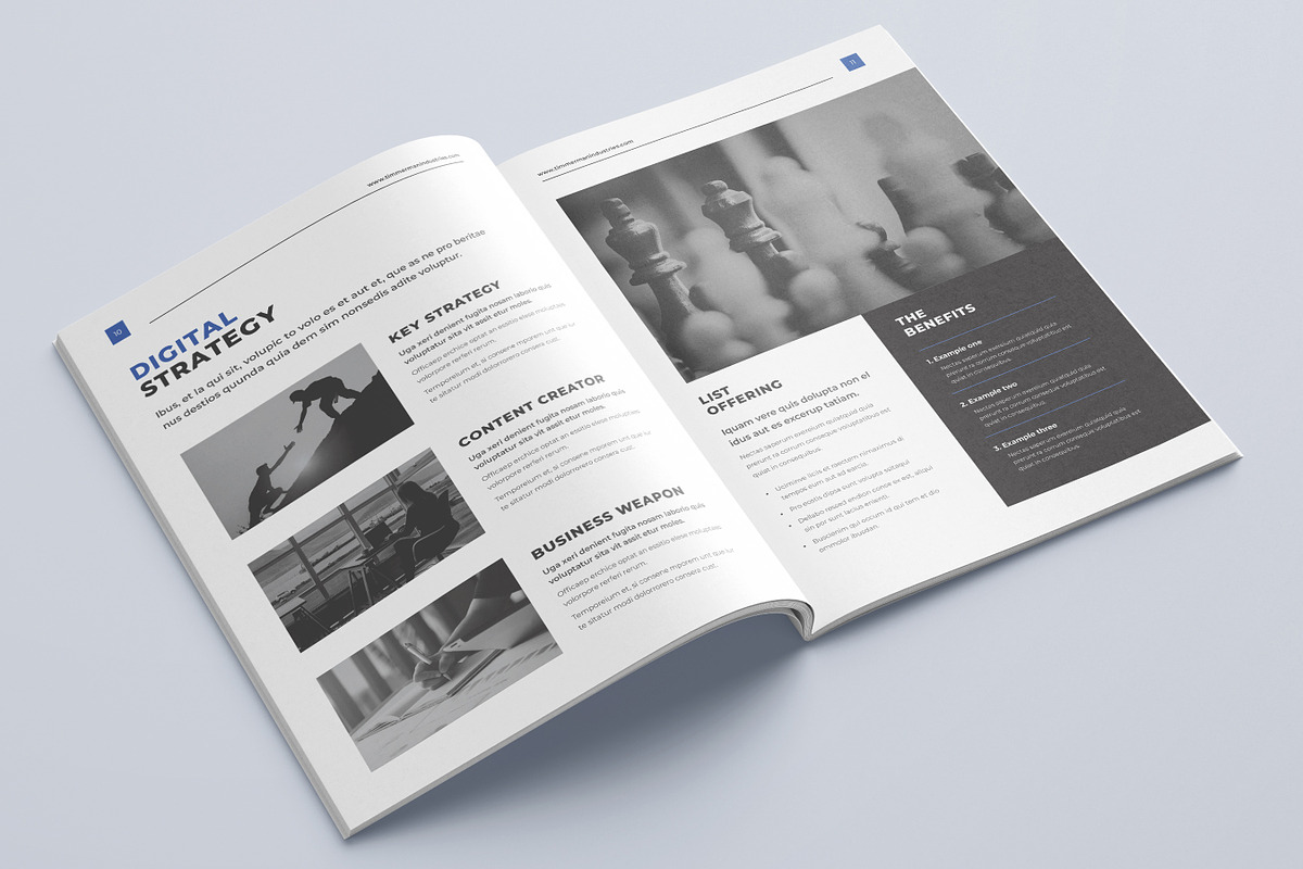Company Profile Template | Handbook, a Brochure Template by Niofix (Photo 5 of 6)