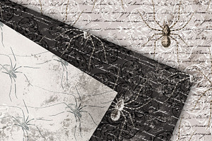 Spider Whispers Digital Paper