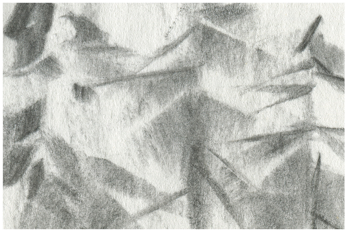 Contour edgy vector illustration, a Texture Graphic by Oleg and Katja (Photo 9 of 26)