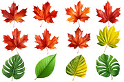 Leaves Clipart Png, an Illustration by Forhadx5 (Thumbnail 6 of 9)