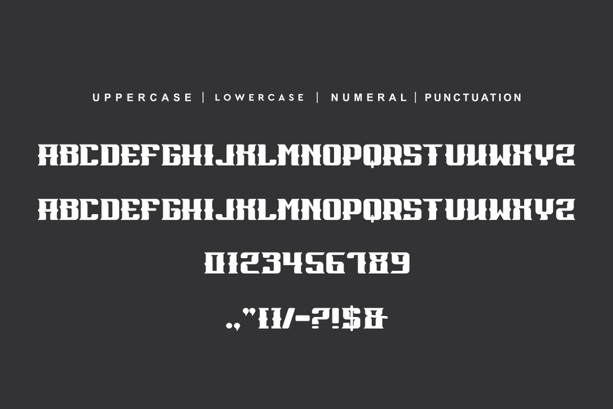 Hidrox Sport, a Serif Font by alon kelakon (Photo 5 of 6)