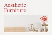 Salfish - Nostalgic Serif Font, a Serif Font by Typeformers (Thumbnail 3 of 5)