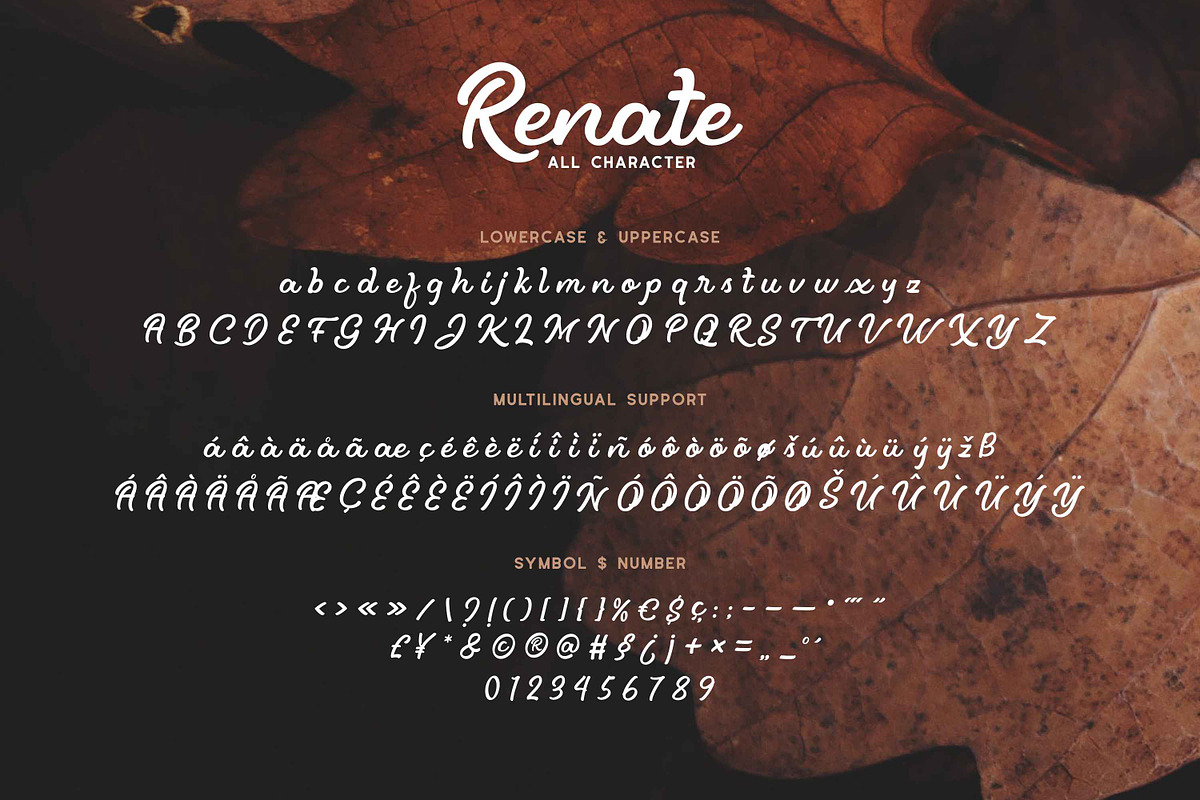 Renate - Modern Script Typeface preview 6