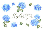 Watercolor Clipart Hydrangea flowers, a Decorative Illustration by Kotkoa (Thumbnail 1 of 12)