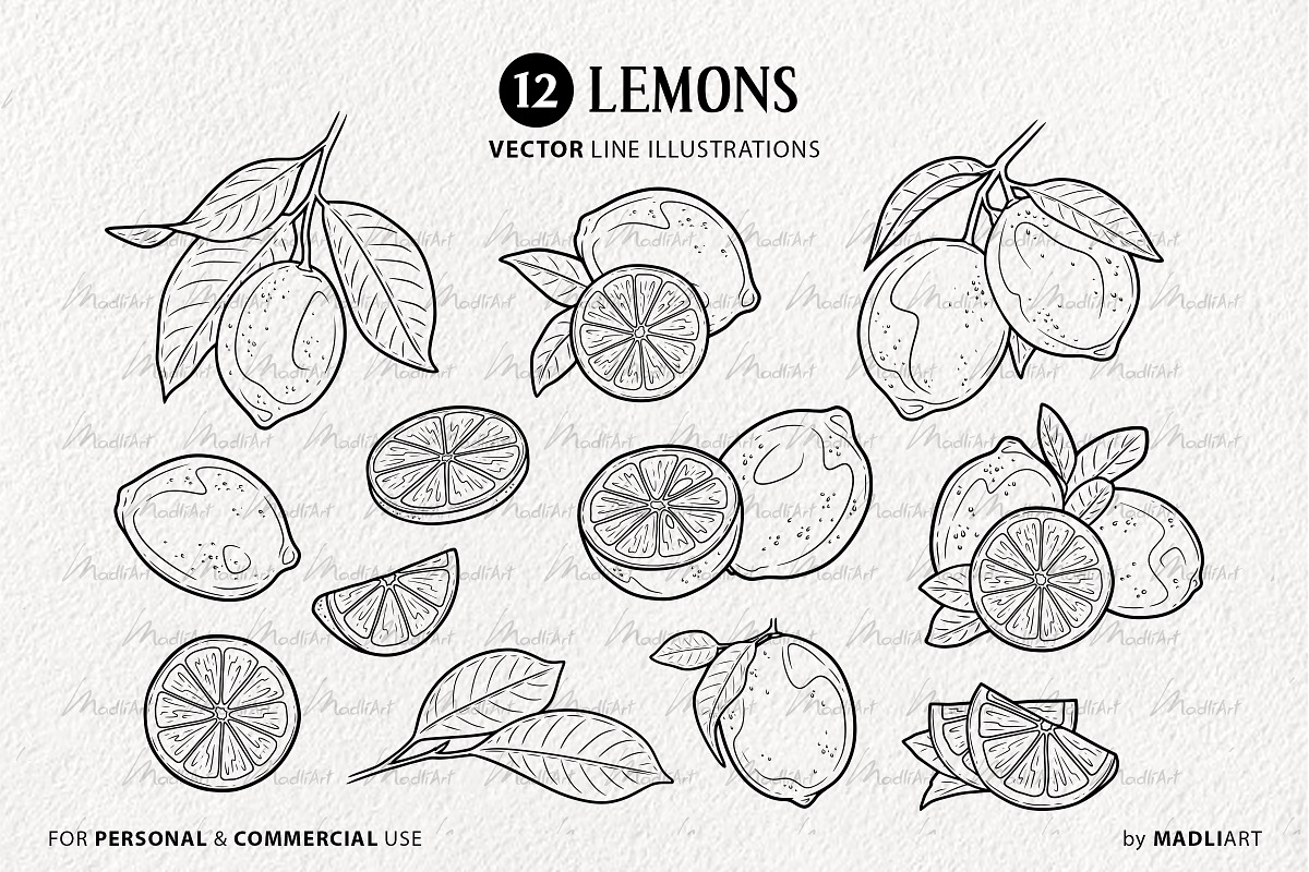 Lemon Citrus Vector Line Art Set, a Decorative Illustration by MadliArt (Photo 3 of 4)