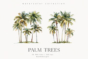 Palm Trees, a Decorative Illustration by PeDe Designs (Thumbnail 6 of 9)