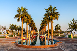 Palm tree promenade at Khobar Sea Front park in Al Khobar, Saudi Arabi, an Architecture Photo by Leonid Andronov