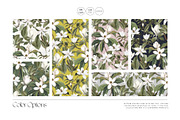 Mongnyeon, Luxury Magnolia Print!, a Pattern Graphic by Pink Linen (Thumbnail 4 of 10)
