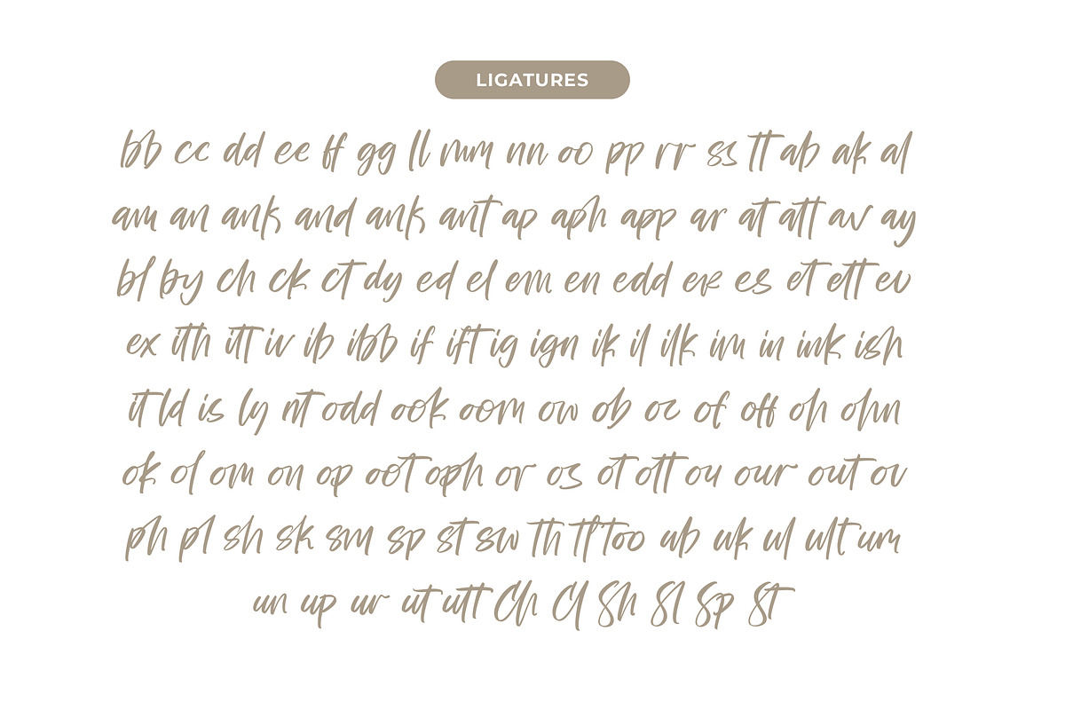 Bestovy Wisher Modern Handbrush Font, a Script Font by stylishtype.co (Photo 14 of 15)