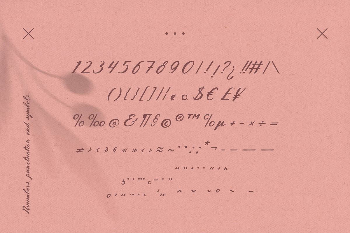 Inola Hand Lettered Font, a Script Font by Wild Ones (Photo 9 of 12)