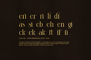Clasina Elegant Serif Font, a Serif Font by Elegant Font (Thumbnail 8 of 8)