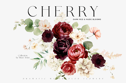 CHERRY Dark Red & Nude Blooms, a Decorative Illustration by Muse Artist