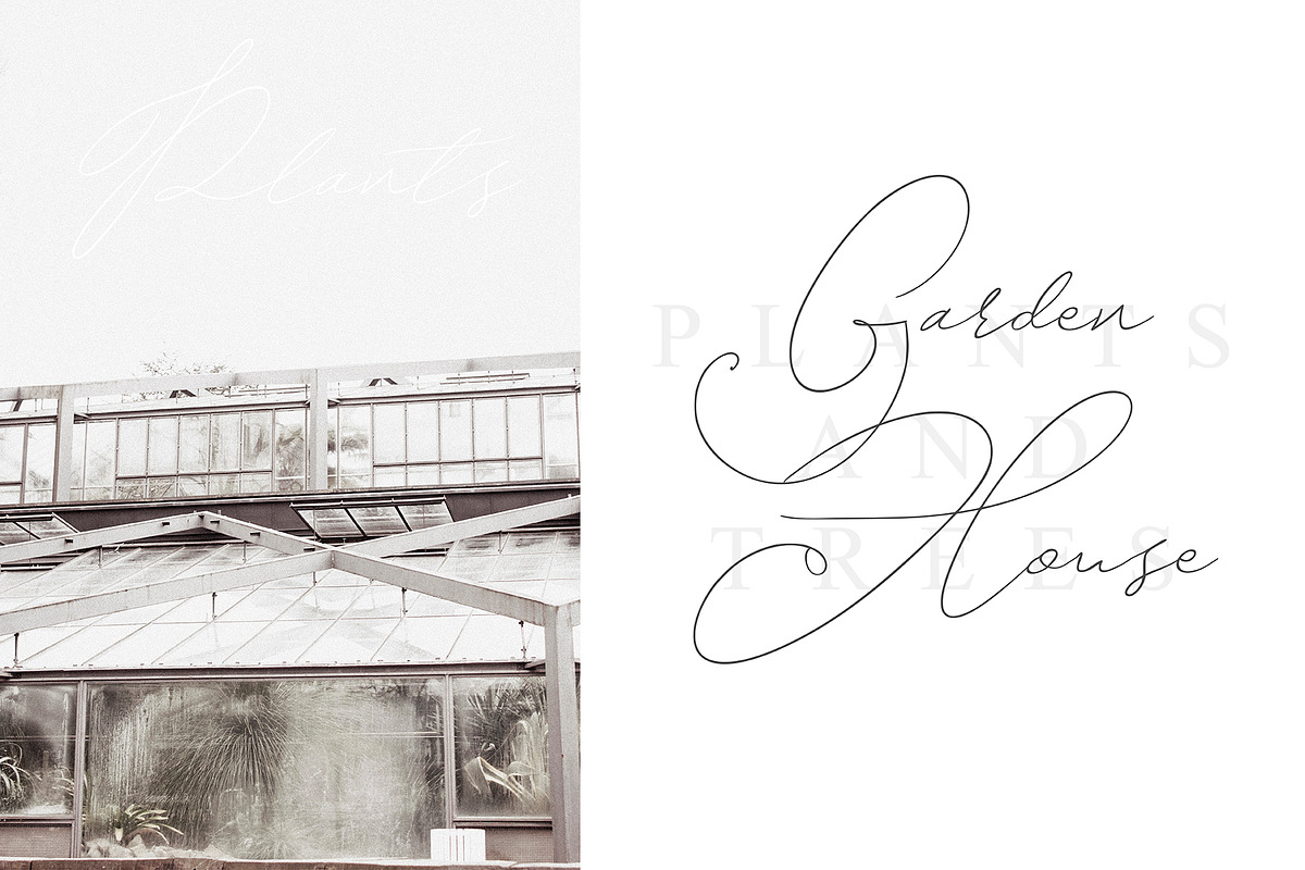 Cherries Tree Script preview 6