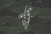 PNG + JPEG 6 Hand Drawn Wildflowers, an Illustration by Bilbie Artwork (Thumbnail 6 of 7)