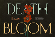 CS Rowena Drawn, a Serif Font by Craft Supply Co. (Thumbnail 3 of 8)