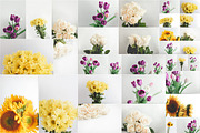 Floral - Flowers on White Photo Pack, a Background Graphic by Fox & Bear (Thumbnail 2 of 5)