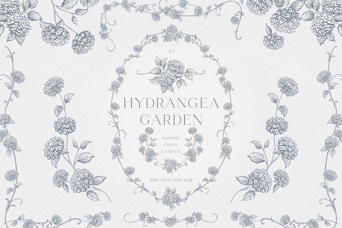 Hydrangea line art flowers, an Object Illustration by Sensual Art (Photo 1 of 9)