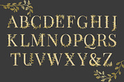 Gold Alphabet - Wedding Package, an Illustration by Anchors_and_Curves (Thumbnail 2 of 6)