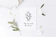 50+ Florals, a Decorative Illustration by Redchocolate (Thumbnail 5 of 6)