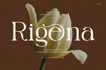 Rigena Elegant Serif Font