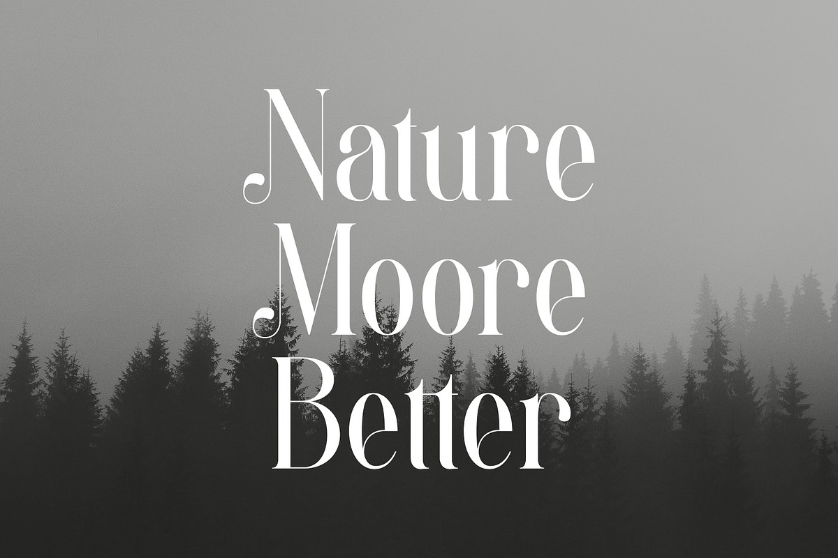 Amelia - Modern Serif Font, a Serif Font by Aqeel_Art (Photo 7 of 12)