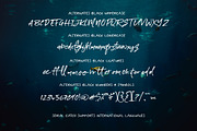 Serial Catch Font, a Script Font by Creativeqube Design (Thumbnail 21 of 22)