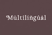 Persephone // A Hand-Drawn Serif, a Serif Font by Megs Lang (Thumbnail 15 of 25)